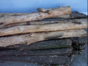 wood tree trunk  package textures CG Dokuları