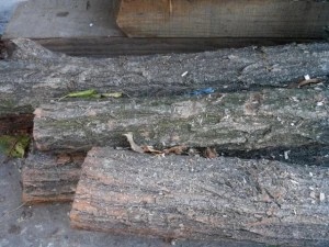 wood tree trunk  package textures CG Textures