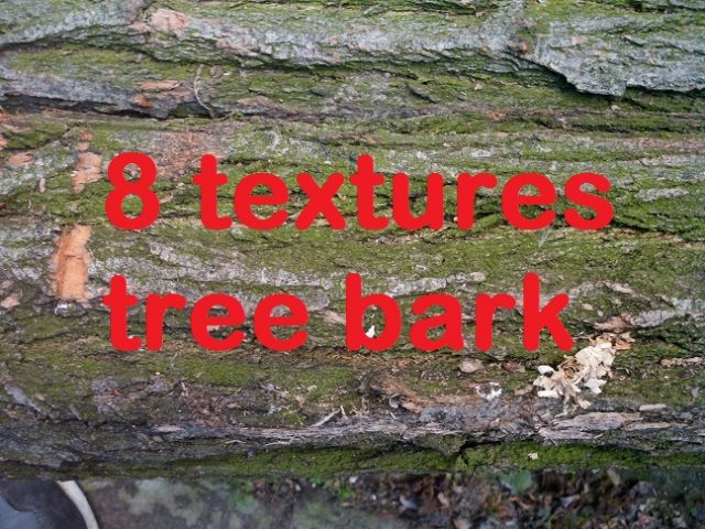 tree bark acacia  package with 8 textures Tekstur CG .c4d .max .obj .3ds .fbx .stl .blend 