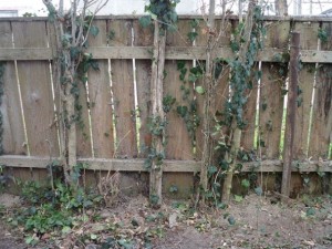 old wood fence  package with 18 textures CG टेक्स्चर्स