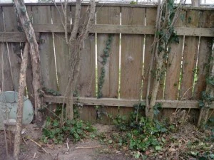 old wood fence  package with 18 textures CG Textures