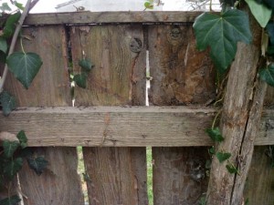 old wood fence  package with 18 textures CG टेक्स्चर्स