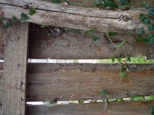 old wood fence  package with 18 textures CG टेक्स्चर्स