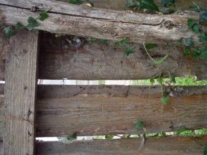 old wood fence  package with 18 textures CG Textures