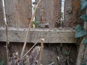 old wood fence  package with 18 textures CG Textures