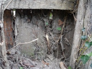 old wood fence  package with 18 textures CG टेक्स्चर्स