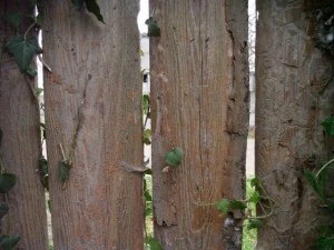 old wood fence  package with 18 textures CG Textures