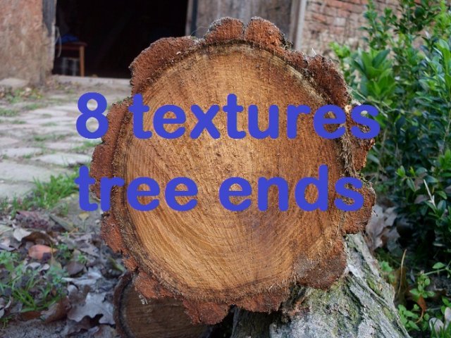 tree ends 02  package with 8 textures CG टेक्स्चर्स .c4d .max .obj .3ds .fbx .stl .blend 