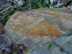 rock  22 textures high quality CG Textures
