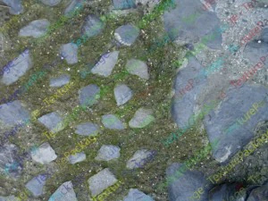 rock  22 textures high quality 02 CG Textures