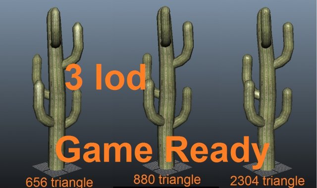 cactus  low poly  3 lod Model 3D .c4d .max .obj .3ds .fbx .stl .blend 