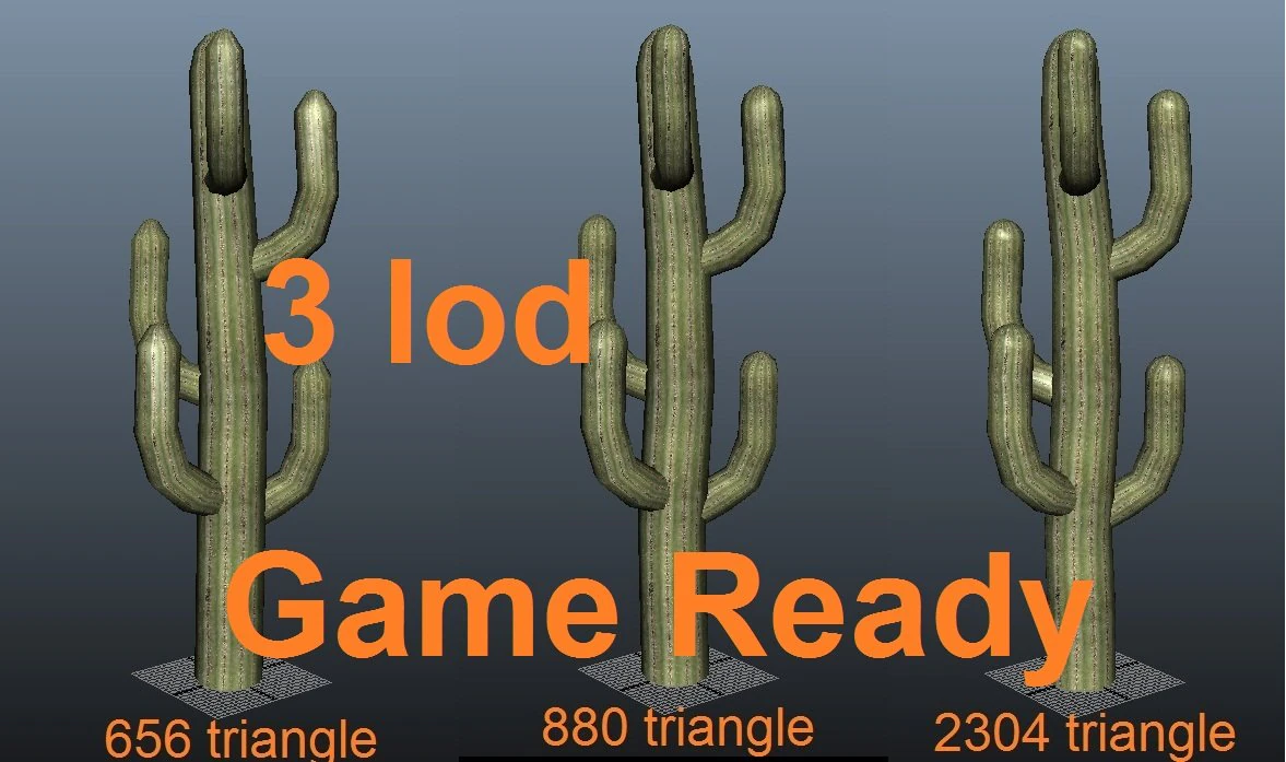 cactus  low poly  3 lod 3D Model .c4d .max .obj .3ds .fbx .stl .blend 
