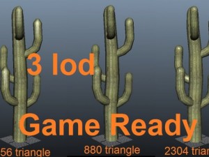 cactus  low poly  3 lod 3D-Modell
