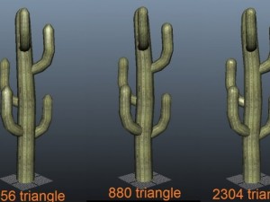cactus  low poly  3 lod Model 3D
