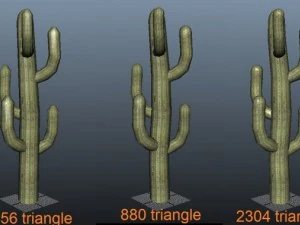 cactus  low poly  3 lod 3D Model