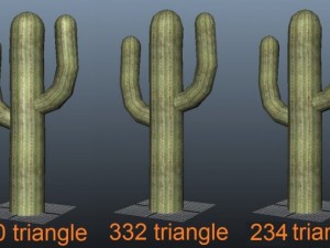 cactus small  low poly  3 lod 3D-Modell