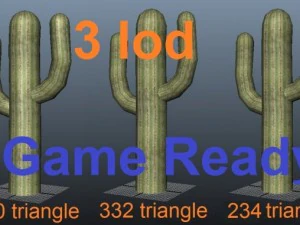 cactus small  low poly  3 lod 3D Model