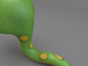 cartoon snake 3Dモデル