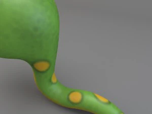 cartoon snake 3D Model