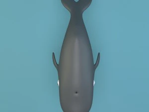 cartoon whale 3D Model