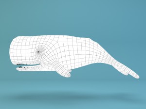 cartoon whale 3D Model