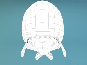 cartoon whale 3D Model