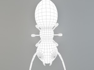 cartoon ant Modèle 3D