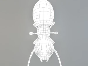 cartoon ant 3D Model