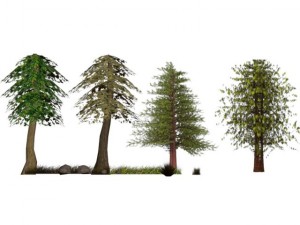 lowpoly nature bundle Model 3D