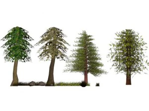 pack nature lowpoly Modèle 3D