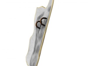 warriors shield 3D मॉडल