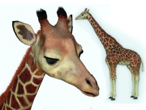 giraffe Modello 3D