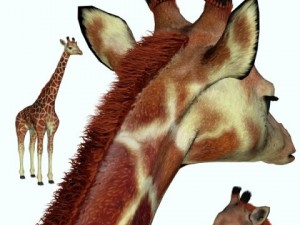 giraffe Model 3D