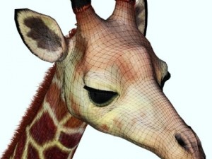 giraffe Model 3D