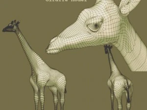 giraffe 3D Model