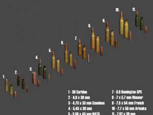 ammo collection 3D मॉडल
