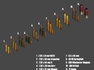 ammo collection 3D मॉडल