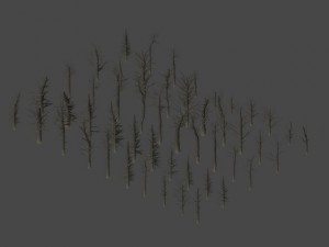 dead trees 3D Model
