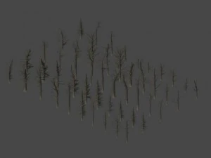мертвые деревья 3D Модель