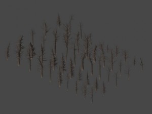dead trees 3D Модель
