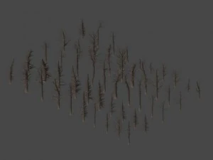 dead trees 3D Model