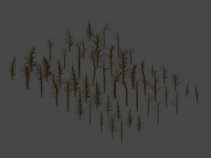 dead trees 3D Модель