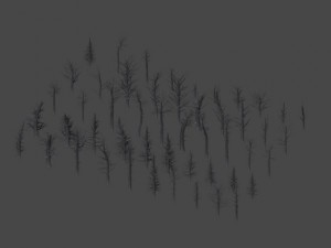 dead trees 3D Модель
