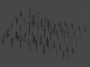 dead trees 3D Модель