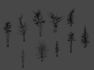dead trees 3D Model