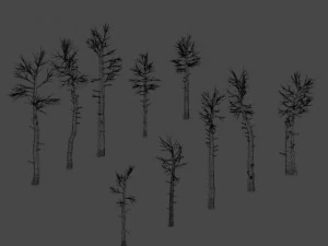 dead trees 3D Model