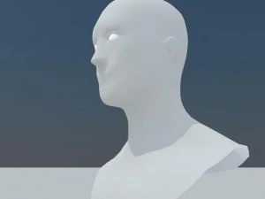head 3D Model