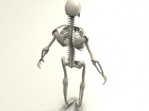 skeleton Modello 3D