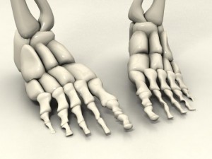 skeleton Modello 3D
