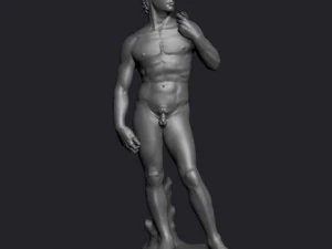 statua del Davide Modello 3D